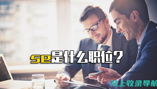 专业解析SEO查询在搜索引擎中的作用